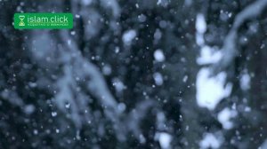 Шесть человек избавили от выборов весь свой народ. Пользы из Сахиха Муслима. Абу Яхья Крымский