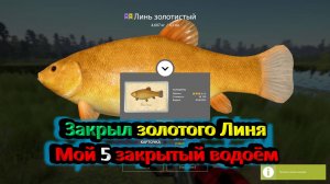 Линь золотой рр4-Почётный рыболов 5 раз