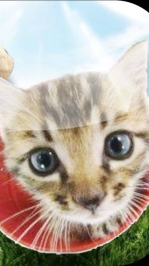 сегодня🤟я🤑пушистый🦖зайчик🎉а🌴завтра🐢я🌗насру❌в🐑стаканчик⚠️