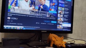 Моя Жизнь Кино @ Музей Псов