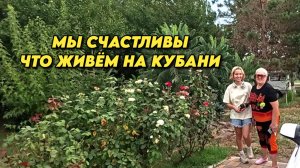 964 Обзор наших покупок/Жизнь семьи на юге/Дом на юге России