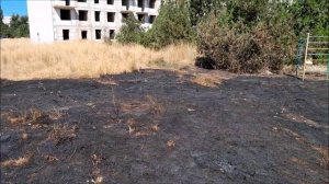 Новости Бельбека . Выпуск за 12-21.08.25г.