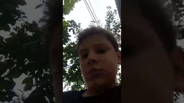 суки смотреть онлайн