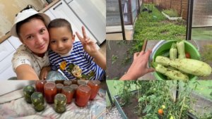ЗАГОТОВКИ НА ЗИМУ// НАВЕЛА ПОРЯДОК В ТЕПЛИЦЕ// ОГУРЦЫ ПОЧТИ ПО ФИНСКИ🤔