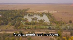 Елена Морозова, 4 возрастная категория