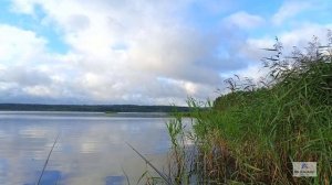 ЛОВИМ КАРАСИКА, А ОН.......?????