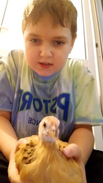 видео для борьки