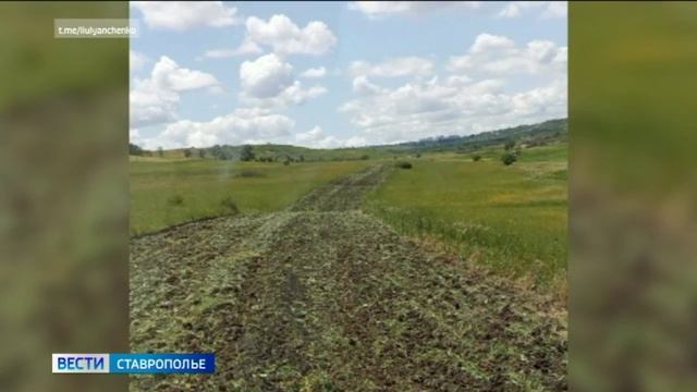 Площадь противопожарной опашки увеличили в Ставрополе
