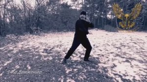 14, 24, 25 - е движение в комплексе "Бодхиварвар".