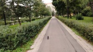 Конец лета. Гуляю на природе - (1)