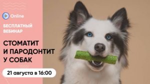 Вебинар «Стоматит и пародонтит у собак: как сохранить зубы питомца здоровыми?»