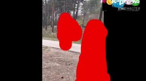 Взрезанный фрагмент Мистер Бин 01.09.2015