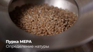 Пурка МЕРА. Определение натуры зерна | Клуб МОСТ