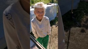 Старый шкаф