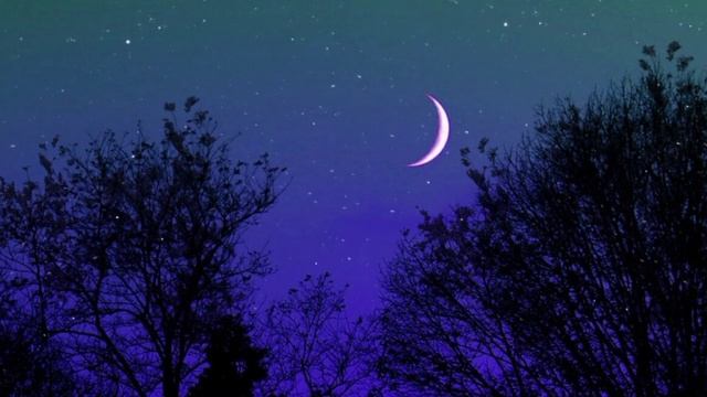 Новолуние - 22(23) августа 2025! Мантра Луны. смотреть онлайн