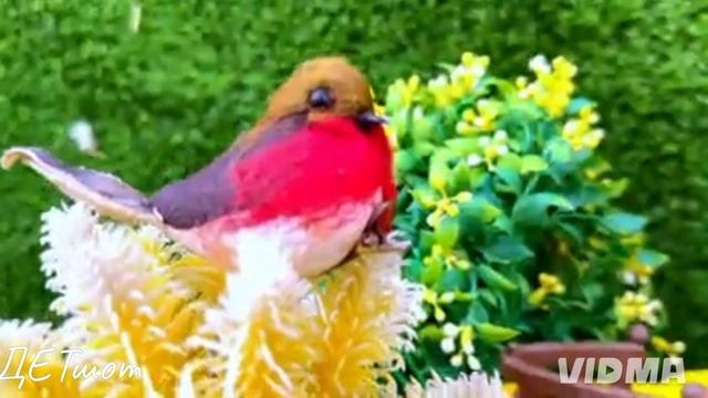 Рыбки в аквариуме смотреть онлайн