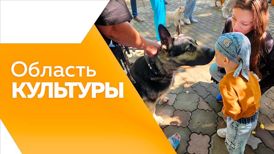 Область культуры №173