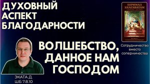 Духовный аспект благодарности: волшебство, данное нам Господом. Эката д. ШБ 7.8.10