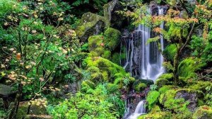 Слайдшоу mp4