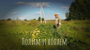 03.08.2025 Полим и копаем.