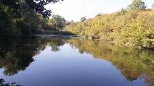 Никитовка. Яр, ставок, насосная станция