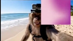 МЫ ЛУЧШАЯ НЕЙРОСЕТЬ ВИДЕО ИИ/ AI