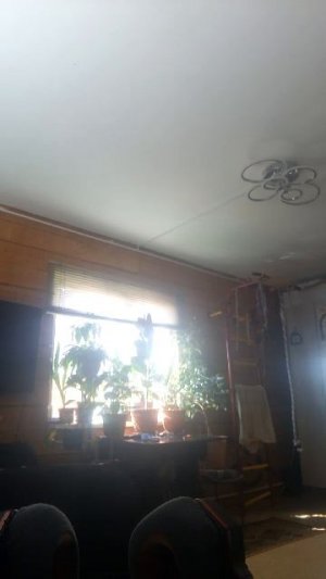 последняя трансляция