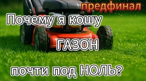 Косим низко — секрет плотного и густого газона. Предфинал.  #газон #уходзагазоном #газонокосилка