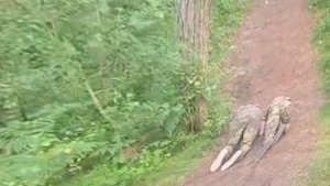 Санкт-Петербург.Клуб*Каскад*.
15.07-29.07.2025 г.