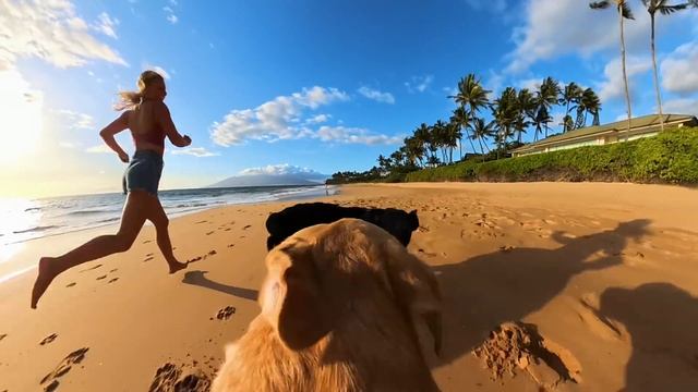 Стабилизация камеры Insta360 X4