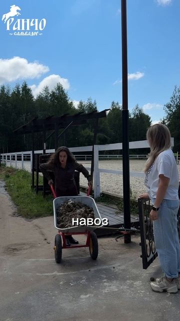 Кто тут главный на ранчо?