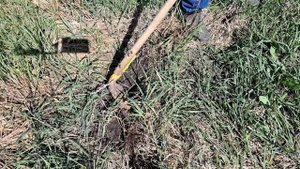 Плоскорез коса