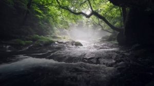 21 августа - Приготовьте на достаток.