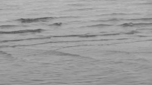 Квадратные волны