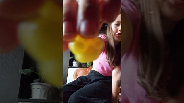 обзор смотреть онлайн