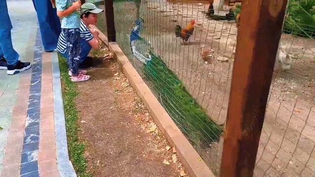 НОВЫИ ХЕРСОНЕС