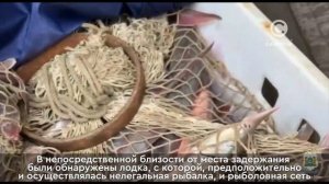 Полицейские в Нижневартовске задержали 2 автомобиля с рекордными партиями незаконно выловленной рыбы