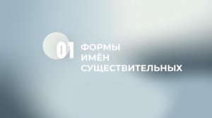 Формы имён существительных 3
