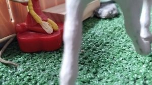 видео для конкурса 1 раунд