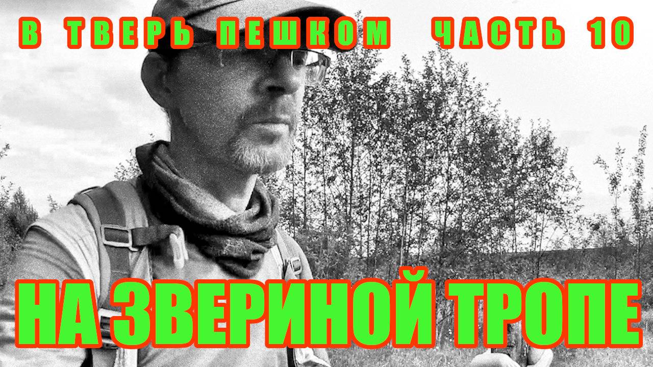 В Тверь пешком часть 10 От Редкино до Кузьминки На звериной тропе