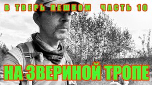 В Тверь пешком часть 10 От Редкино до Кузьминки (На звериной тропе)