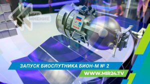 С Байконура запустили биоспутник «Бион–М» № 2 с мышами, мухами и семенами. Чем он уникален?