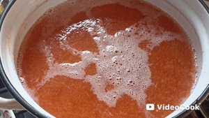 Сливовый сок,пастила и замороженная слива!