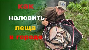 как наловить леща в черте города