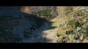 Дети леса | Русский трейлер | Фильм 2025