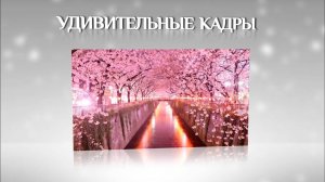 Удивительные кадры!