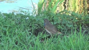 первый выезд в Каменку