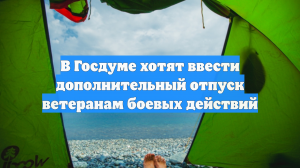 В Госдуме хотят ввести дополнительный отпуск ветеранам боевых действий