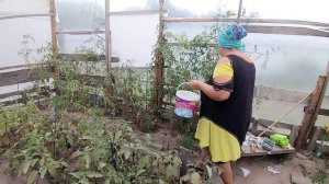 Снова обрабатывает доски. Огород погиб. СЕМЬЯ НА ДАЧЕ #271.