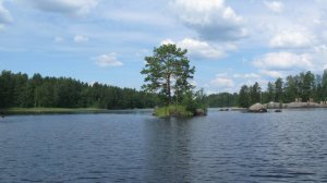 Шаг в неизвестность